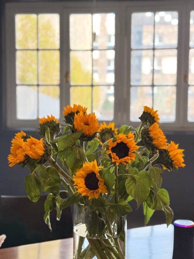 photo_2025-03-17_15-34-05